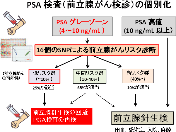 PSA検診後にSNP検査を導入することで個々人に適応した検査を提案 (前立腺がん検診の個別化)の図