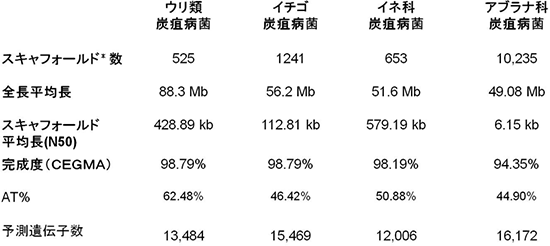 炭疽病菌のゲノム解析データの図