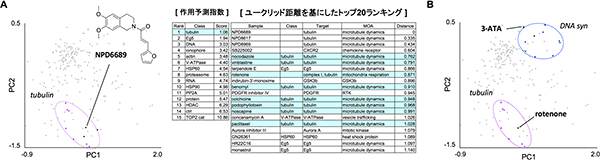 モルフォベースプロファイリング法で化合物の標的分子や副作用を予測の図