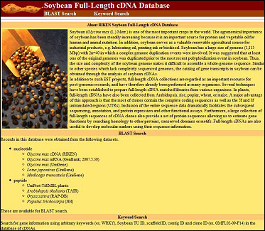 理研ダイズ完全長cDNAデータベースの画像