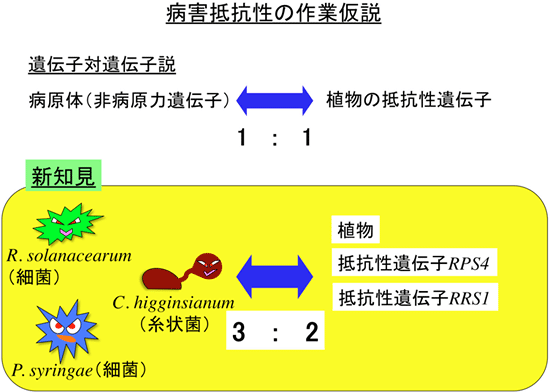 病害抵抗性の作業仮説の図