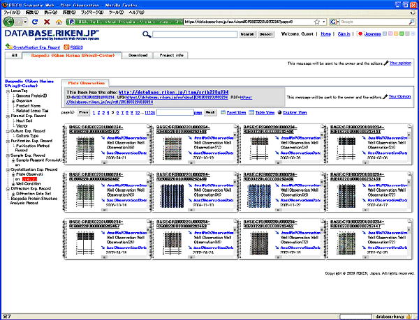 公開基盤「理研サイネス」上のデータベース画面(1)の画像