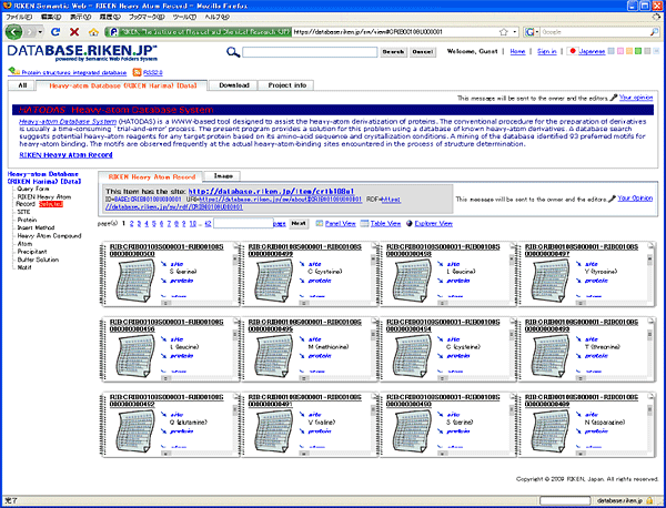 公開基盤「理研サイネス」上のデータベース画面(2)の画像