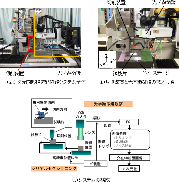 硬組織対応型3次元内部構造顕微鏡システム（a～c）の図