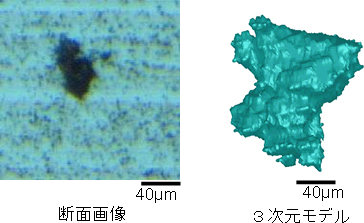 軸受鋼内の介在物の観察例の図