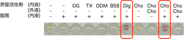 さまざまな界面活性剤と脂質共存下でのバクテリオロドプシンの無細胞タンパク質合成の図