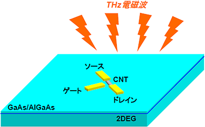 作製したカーボンナノチューブ(CNT)とGaAs/AlGaAsのハイブリッド構造の概念図の画像