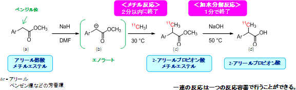 エノラートの高速C-[11C]メチル化反応の一般式の図