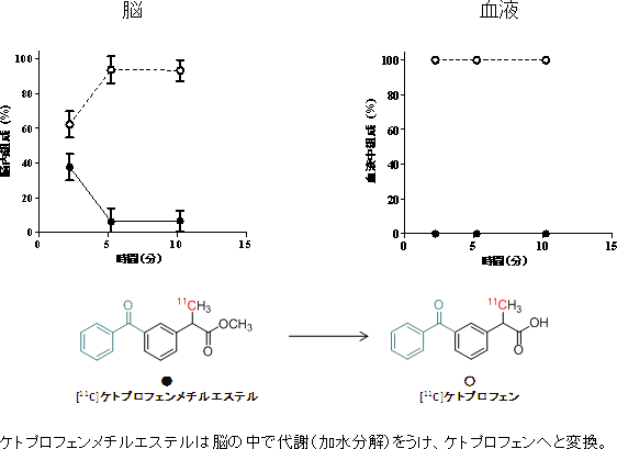 ラット脳と血中の[11C]ケトプロフェンメチルエステルの代謝物解析の図