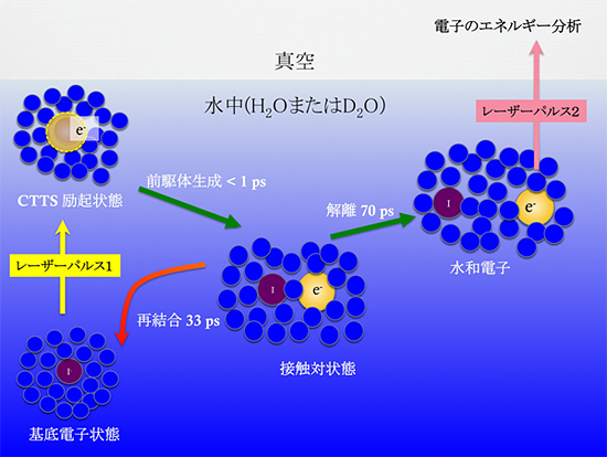 NaI水溶液を用いた実験の概念図の画像