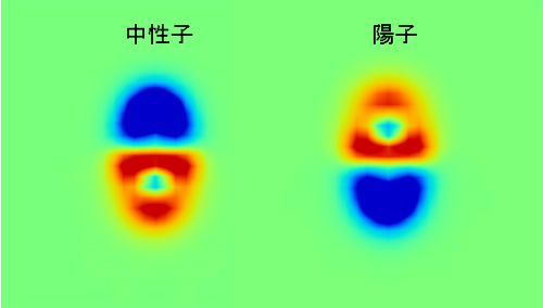 ネオン20の原子核に光を当てたときに、陽子・中性子が逆位相で振動する様子の図