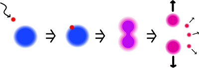核分裂反応の模式図の画像