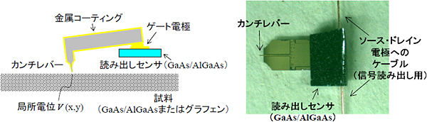 カンチレバーと高電子移動度半導体（GaAs/AlGaAs）の複合構造の概念図（左）と写真（右）の図