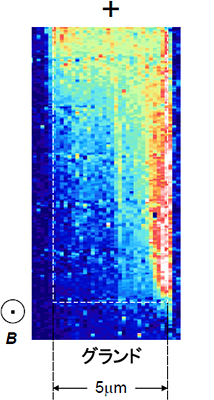 半導体試料（GaAs/AlGaAs）における電位分布画像の図