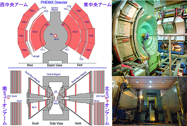PHENIX実験に用いる装置（BNL提供）の図