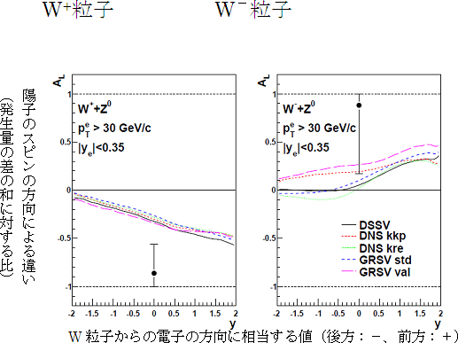 W粒子が崩壊してできた電子（陽電子）の量の陽子スピンの向きによる違いの図