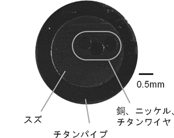 (a) 試料片の断面光学画像の図