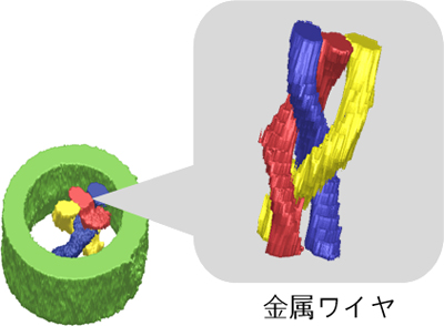 (c) 元素分布の3次元可視化像の図