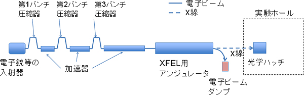 X線自由電子レーザーシステムの模式図の画像