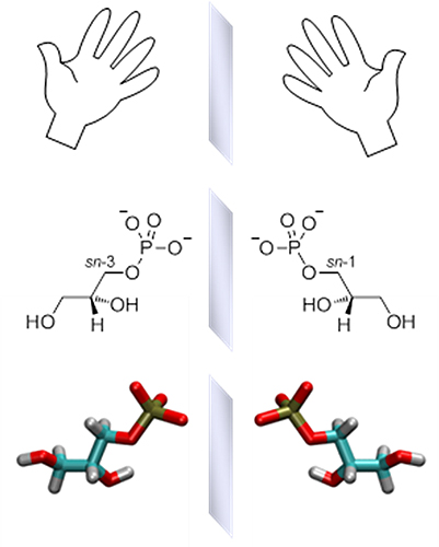 2つのグリセロリン酸の関係の図