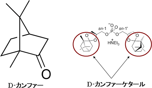 D-カンファーケタールの図