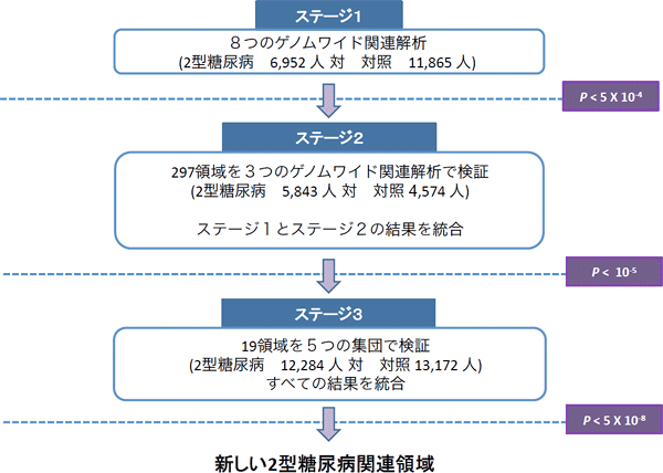 研究概要の図