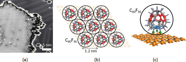 金単結晶上のフッ化フラーレンの均一単分子膜の図