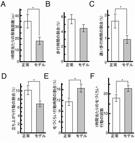 モデルマウスで見られた慣れた環境における活動性の低下と常同行動の増加の図
