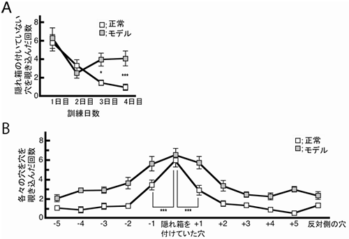 モデルマウスで見られた記憶学習障害の図