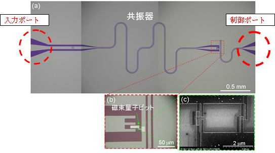 本研究で作製した回路の図