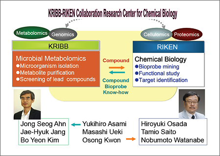 A diagram showing the cooperation between KRIBB and RIKEN