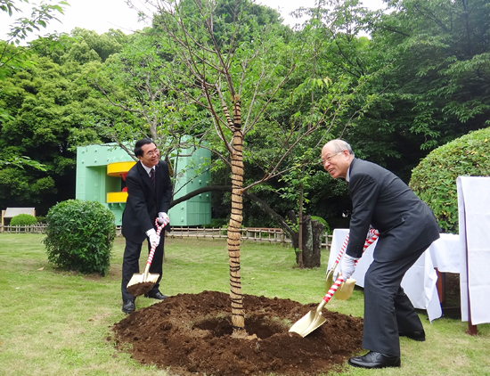 Image of the tree-planting ceremony