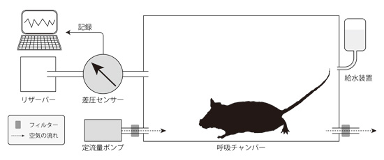 装置の模式図の画像