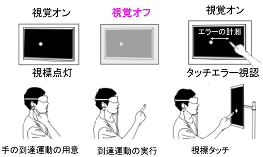 脳運動学習機能簡易評価システムの動作の図