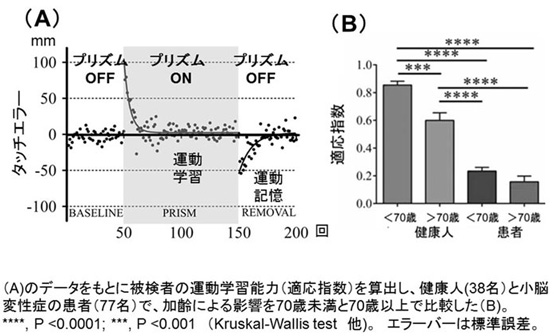 健康人の運動学習の例と加齢や小脳疾患による変化のグラフ