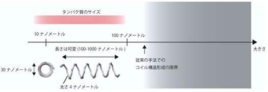 タンパク質サイズのコイル状人工バネを作成の図