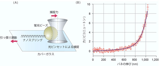 ナノスプリングのバネ定数の測定の図