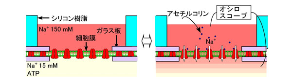 発電ユニットの図