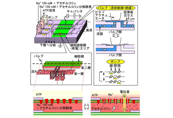 発電ユニットを組み込んだデバイス例の図