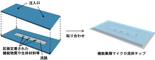 マイクロ流体チップの図