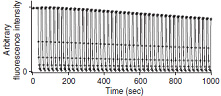 Figure showing on and off stages