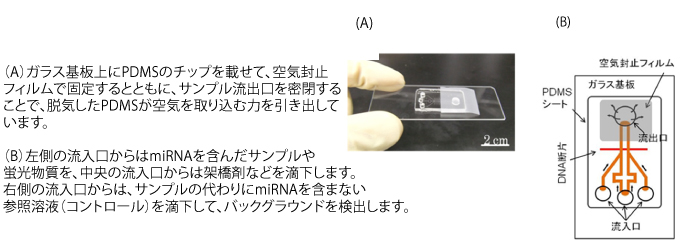 持ち運び可能な自律駆動型マイクロチップの図