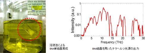 BNA結晶育成の図