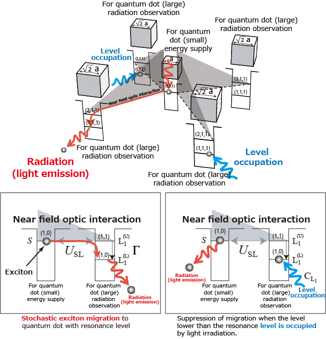 Figures showing the exciton transfer dynamics