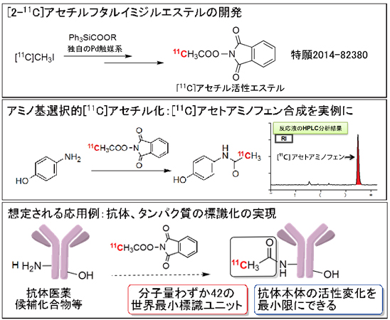 生体高分子化合物のPET分子プローブ化の図