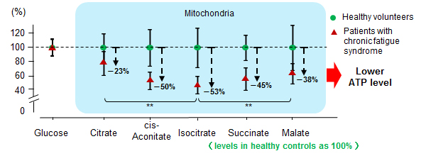 Figure comparing levels of metabolites in TCA cycle
