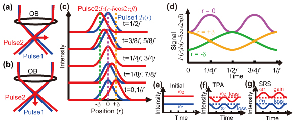 Figures showing the principle of SPOMNOM