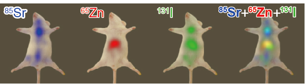 Figure showing the imaging experiment on mice