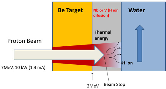 Figure showing the process of neutron generation