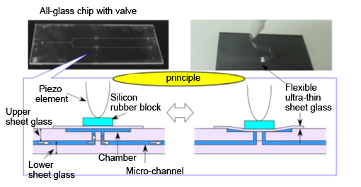 Schematic showing the microchip system